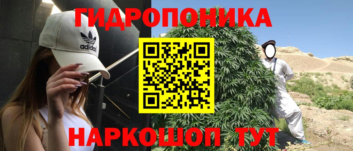 Бошки марихуана White Widow Ногинск